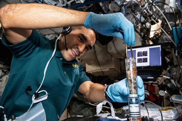 image of an astronaut working on an experiment