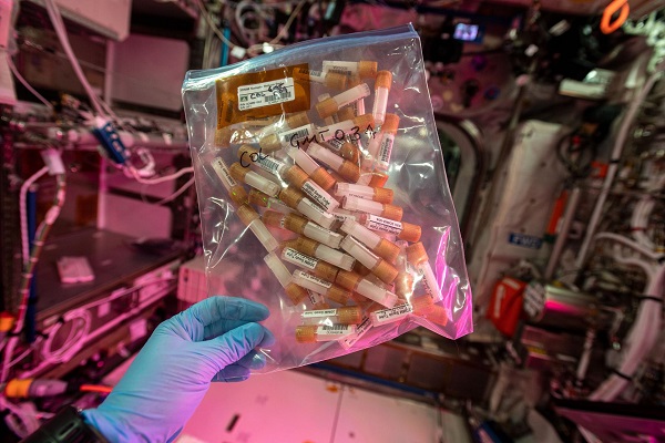 image of a bag of experiment samples