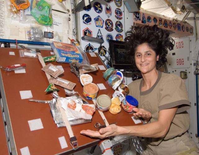  Williams is a veteran of two space missions, Expeditions 14/15 and 32/33.
