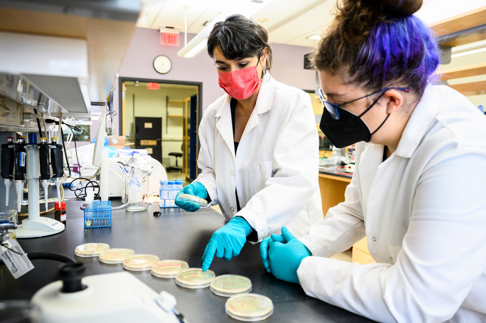 2 Scientists wearing masks looking at petri dishes. This is an illustrative image not directly related to coronavirus.