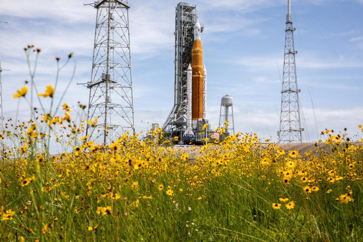 Wildflowers frame a view of the Artemis I Space Launch System (SLS) and Orion spacecraft on Launch Pad 39B at Kennedy earlier this year. 