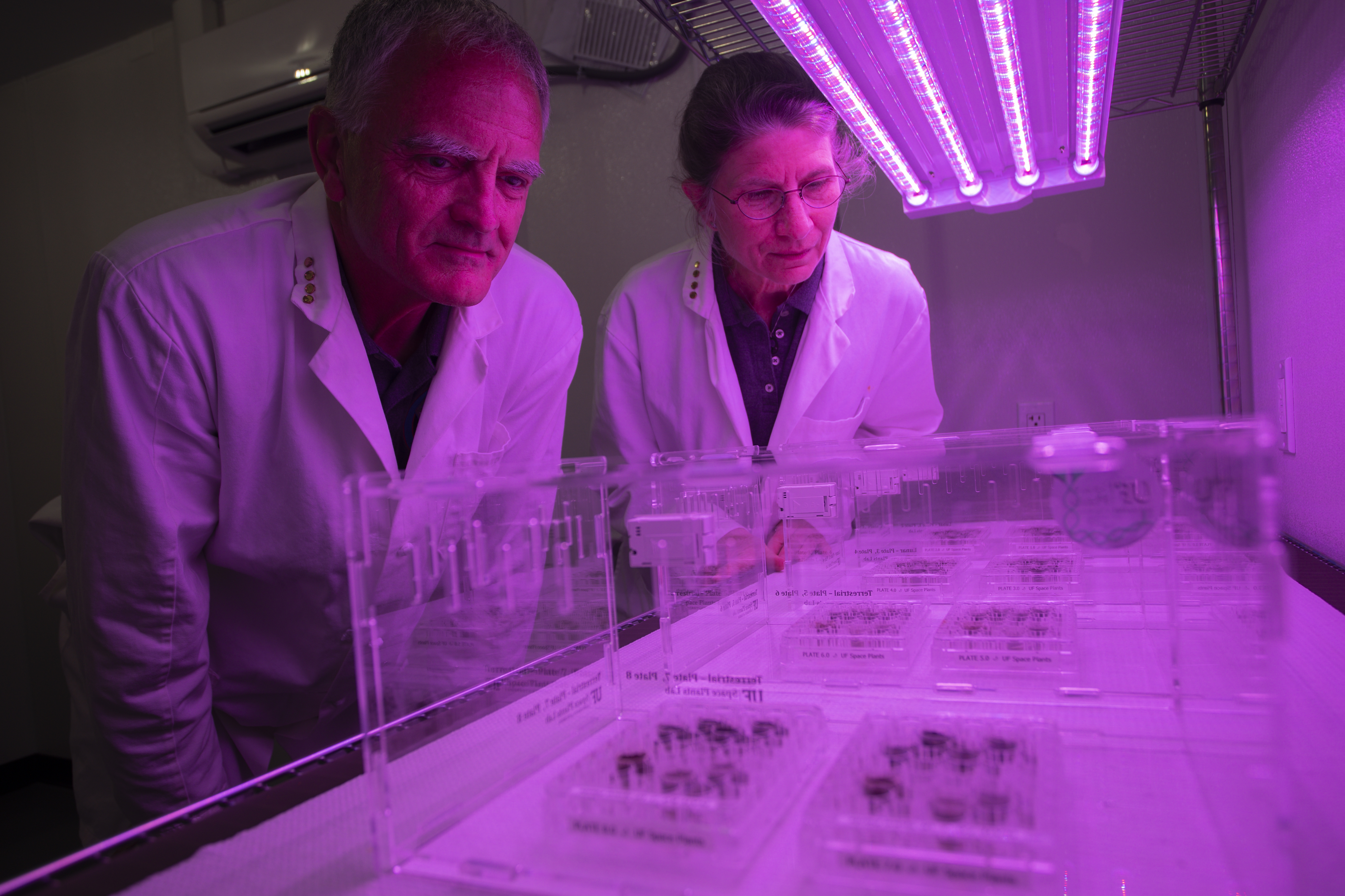 Scientists Grow Plants in Lunar Soil