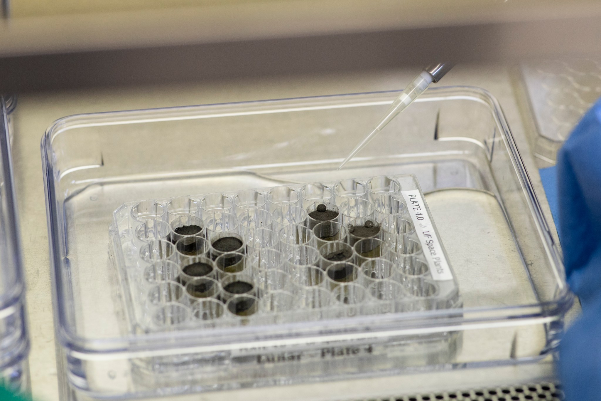 A clear tray contains a smaller clear tray, filled with tubes. A few of tubes contain dark colored material. Pointing from the top right down to the center of the image is a clear, tapered tube. 