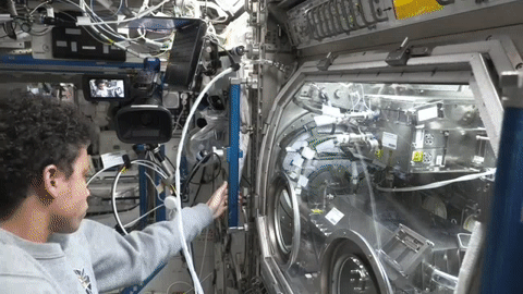moving image of an astronaut working with experiment hardware
