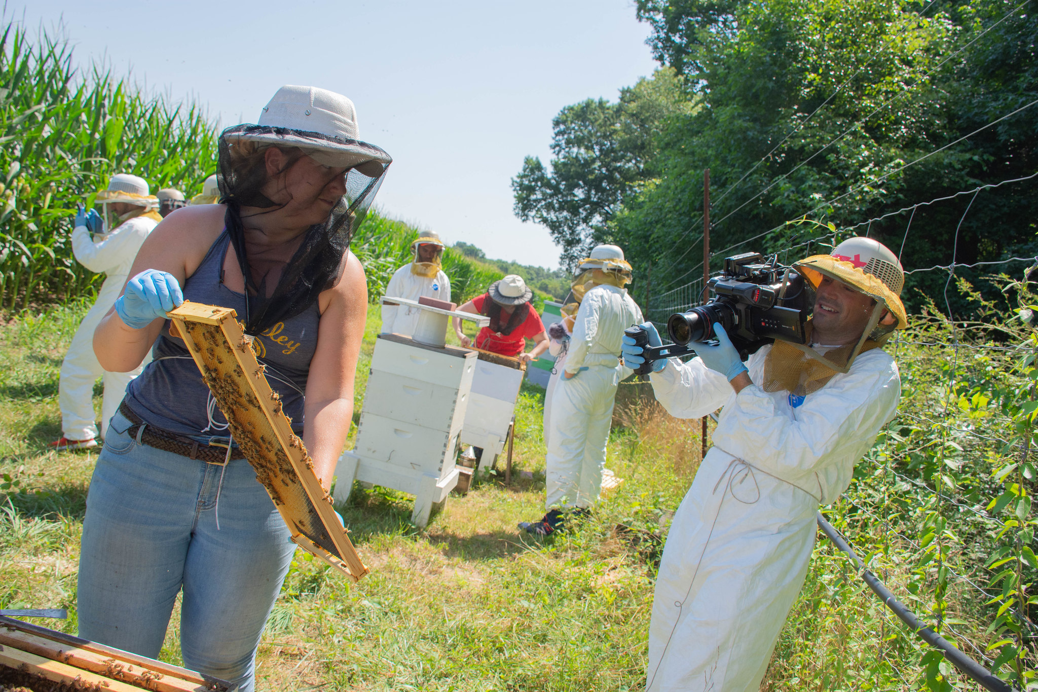 A woman in a beekeeper helmet holds up honeycomb while a man in a bee suit takes video.