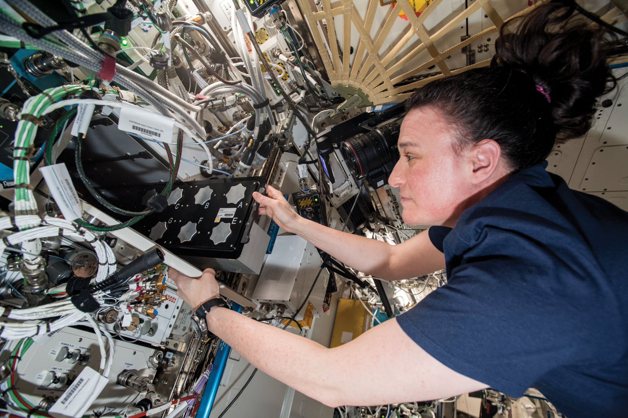 image of an astronaut working with an experiment