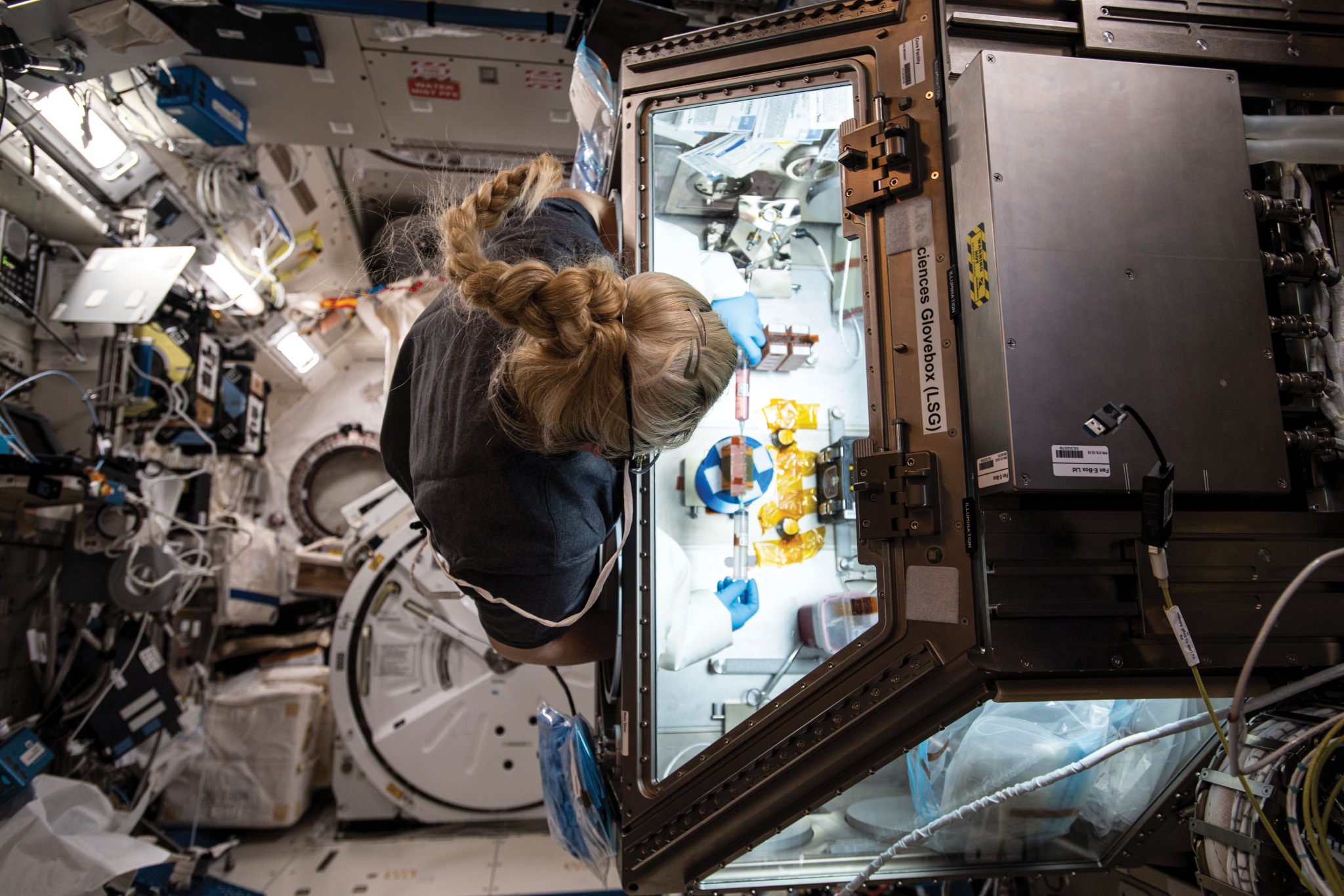 image of an astronaut working with an experiment at a glovebox