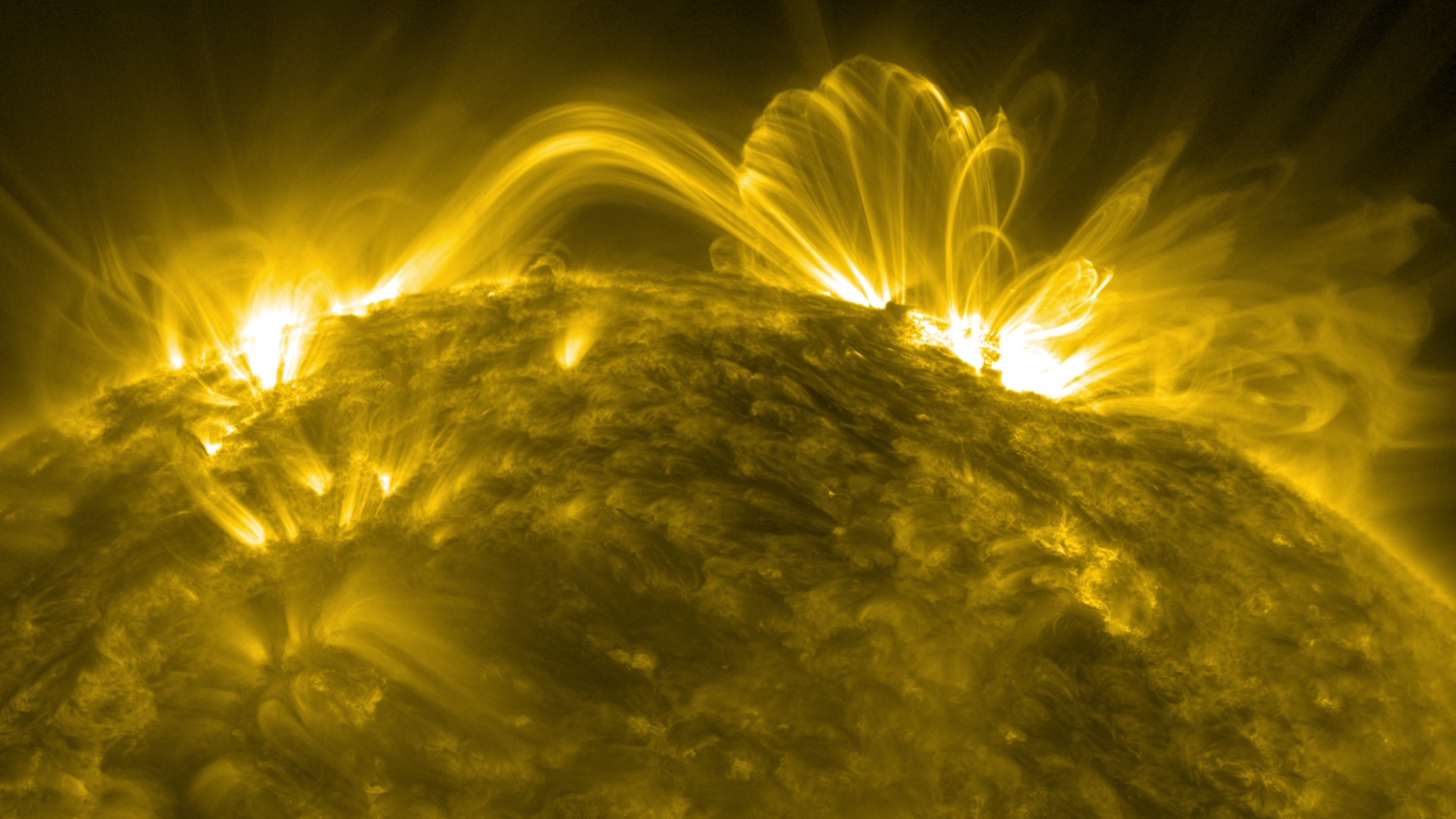 Coronal loops on a golden Sun, arching over the surface.