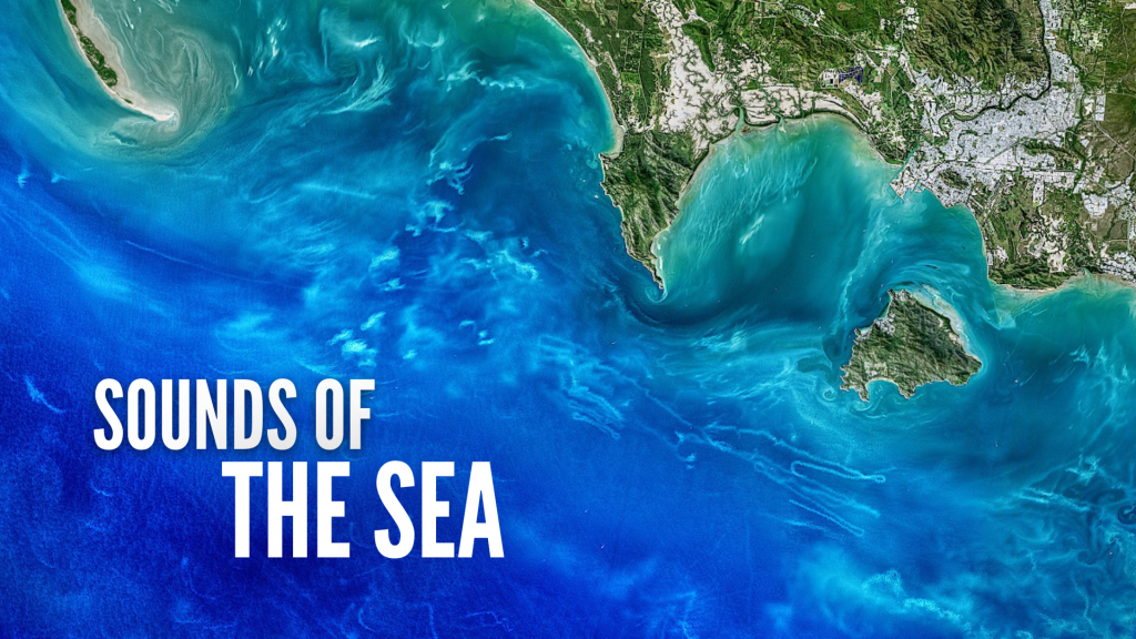 
			Hear 'Sounds of the Sea' in Ocean Scientists' Music Project - NASA			