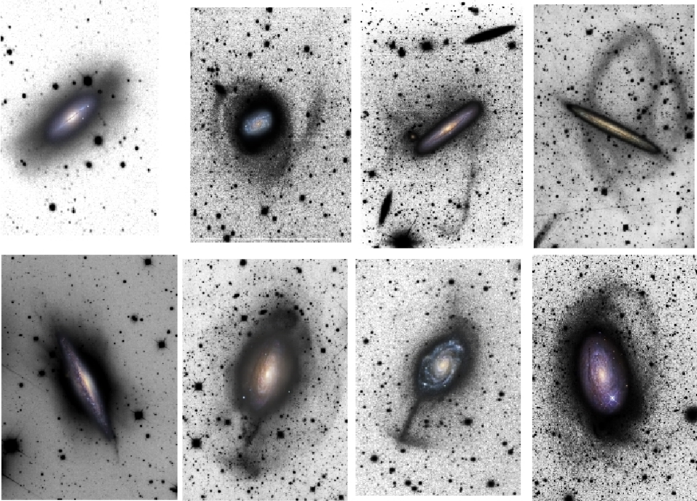 A series of images showing wispy stellar streams surrounding eight individual galaxies. Light and dark are reversed so that the background is gray-white and the galaxies appear as black blobs. Extending out from each like tentacles are streams of stars.