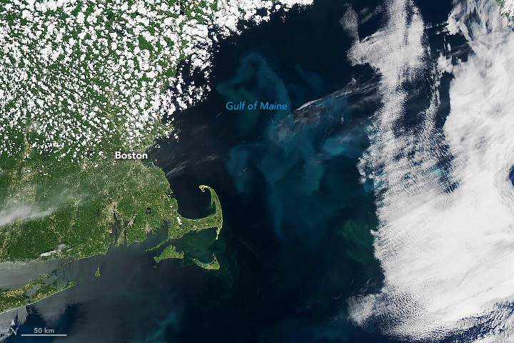 Image shows Gulf of Maine in the U.S. as seen from space on June 5, 2022 by NASA’s Aqua satellite. 