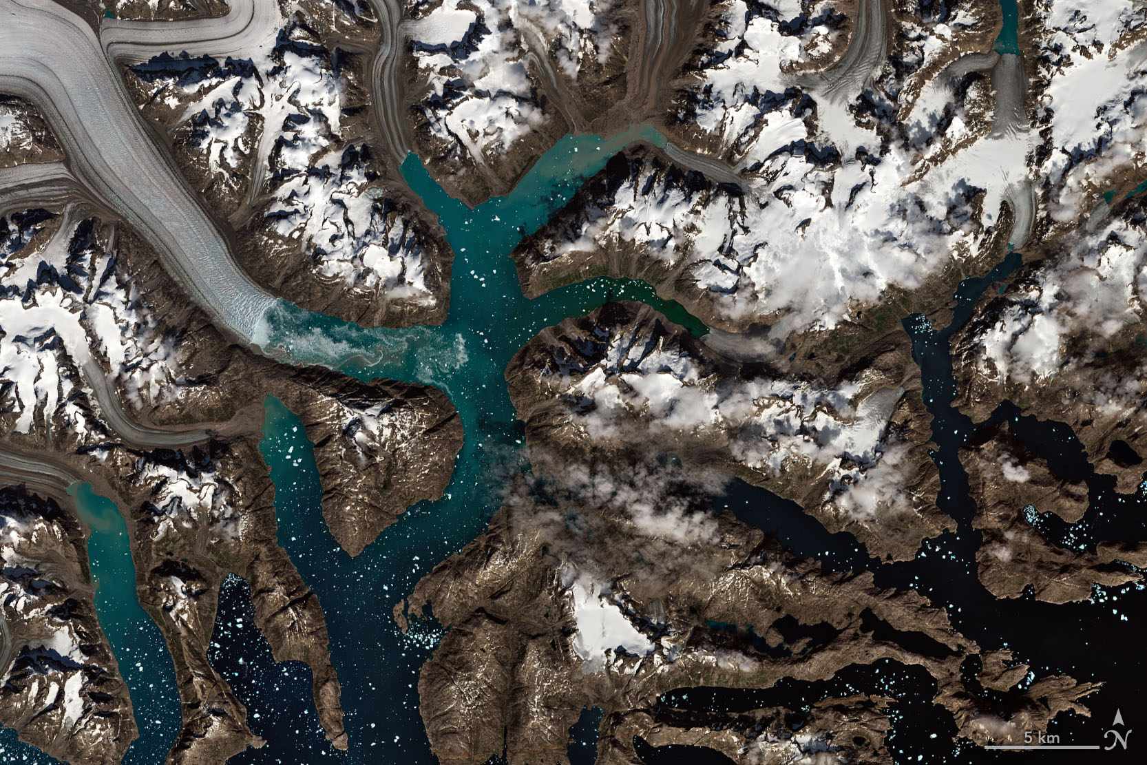 Satellite image of a fjord, a narrow ribbon of dark blue water that fades into turquoise at it gets closer to land. There are several of these ribbons of water, all branching out from each other. The water is sprinkled with tiny white dots of ice. Several of the channels of water meet up with gray blue ribbons of dirty glaciers, which are ringed by brown land and white, snow-capped mountains.