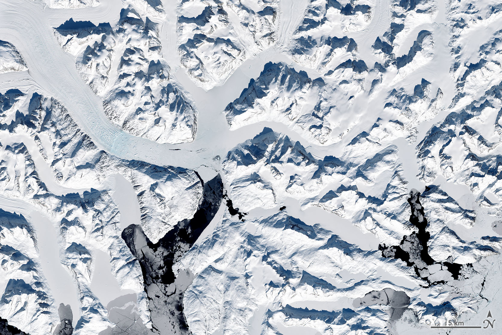 Satellite image of a fjord, a dark blue narrow body of water surrounded by ice covered mountains and thin ribbons of icy glaciers with light blue splotches of melt.