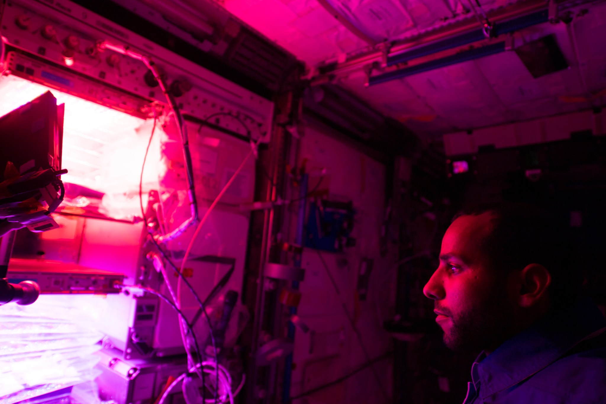image of an astronaut working with a plant experiment