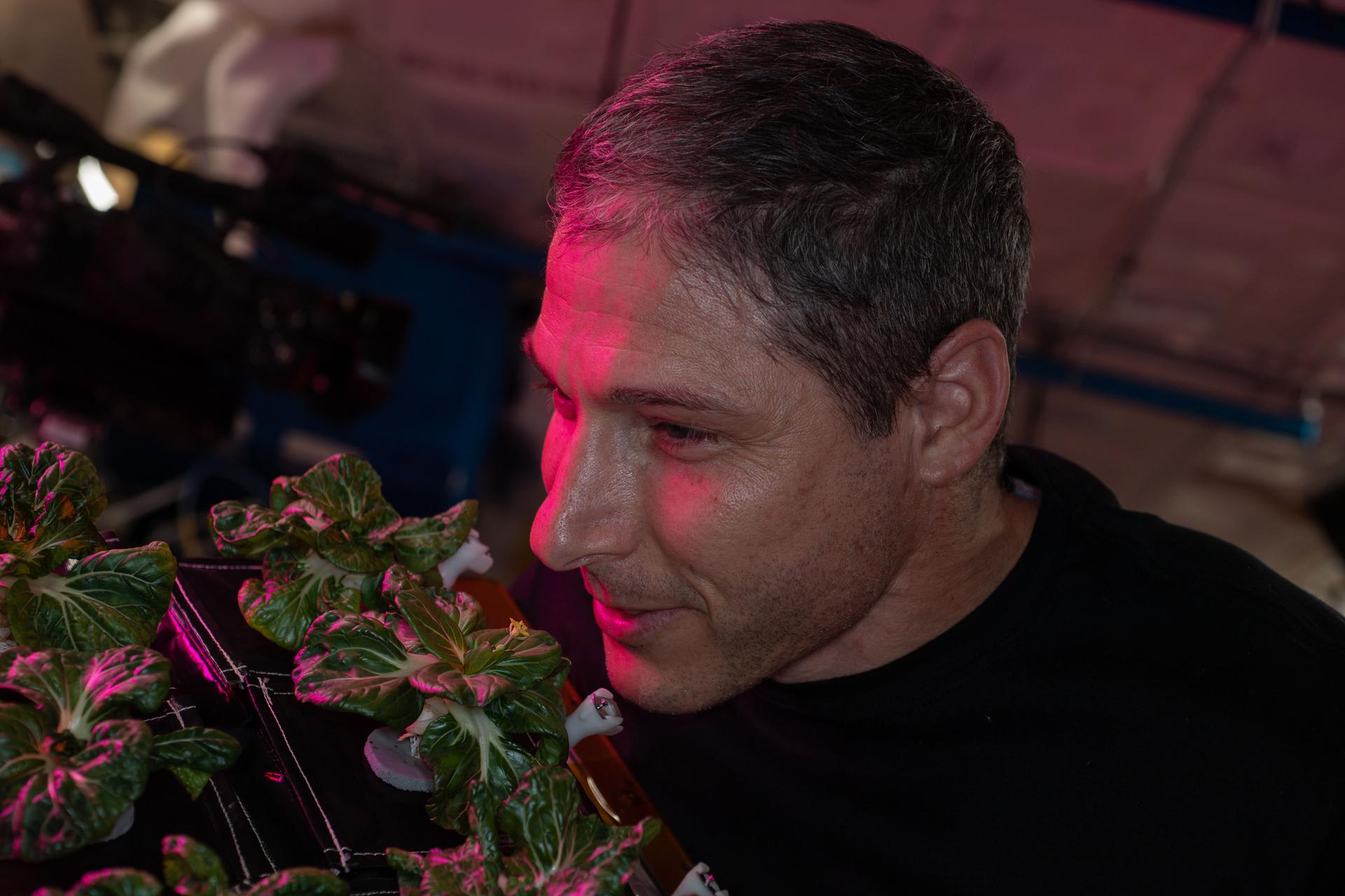 image of an astronaut smelling plants grown on the space station