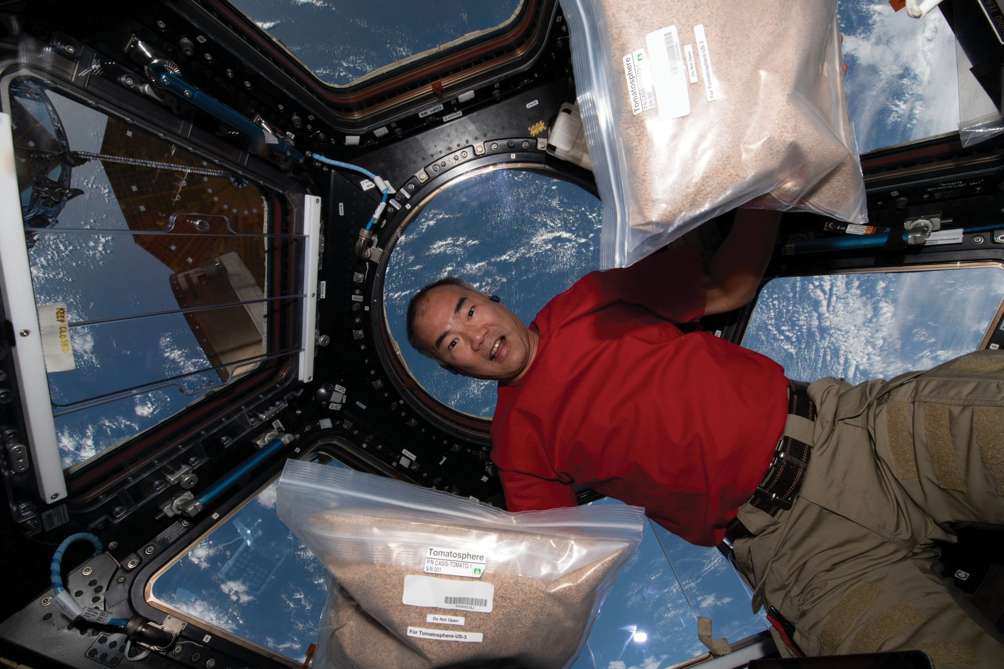 image of an astronaut with seed samples