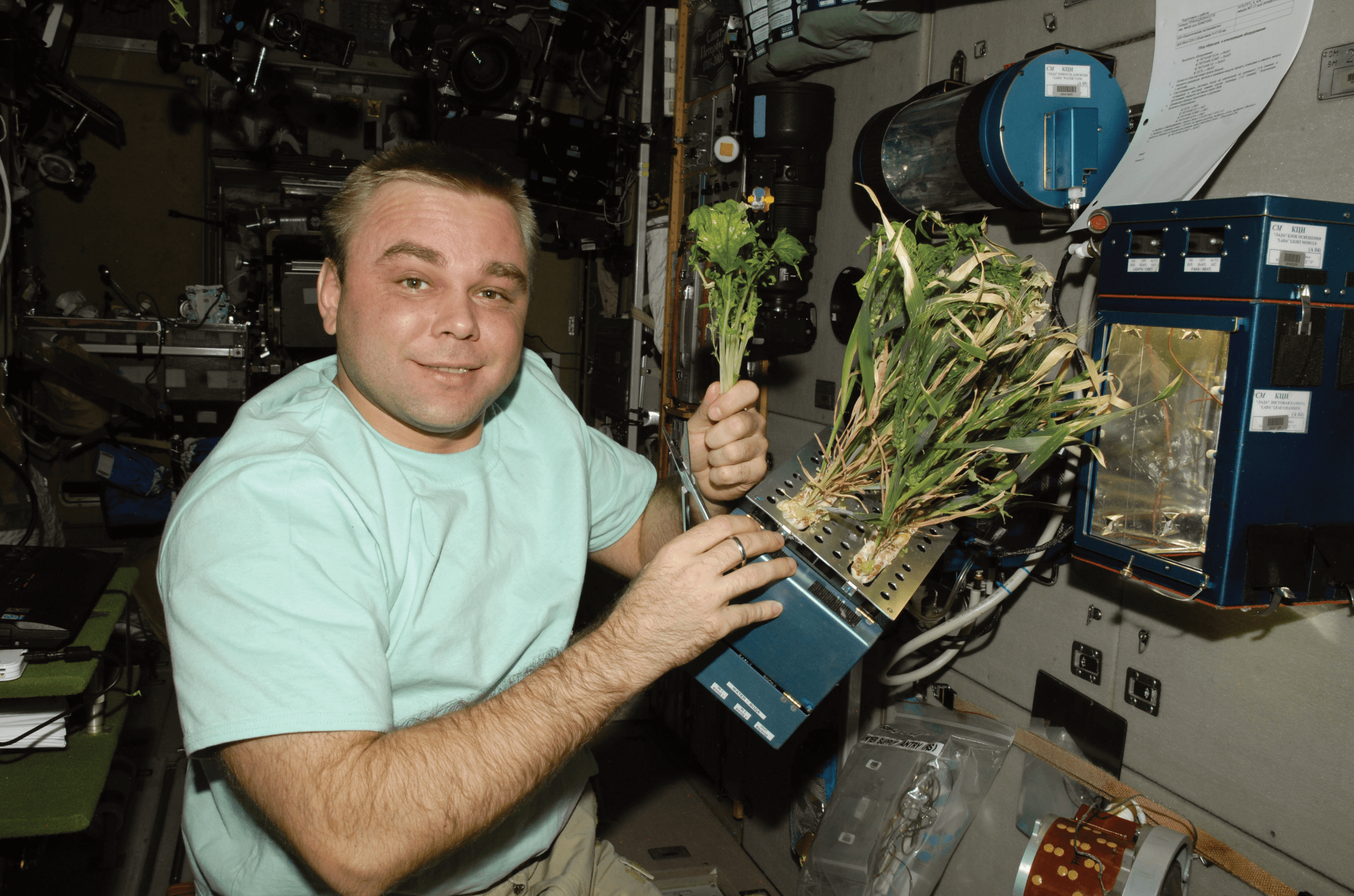 image of a cosmonaut working with a plant experiment