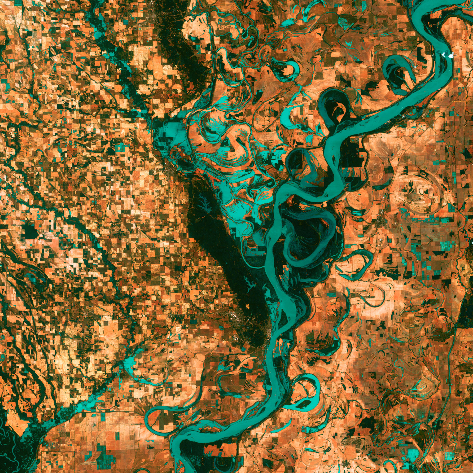 Satellite image of Mississippi River.