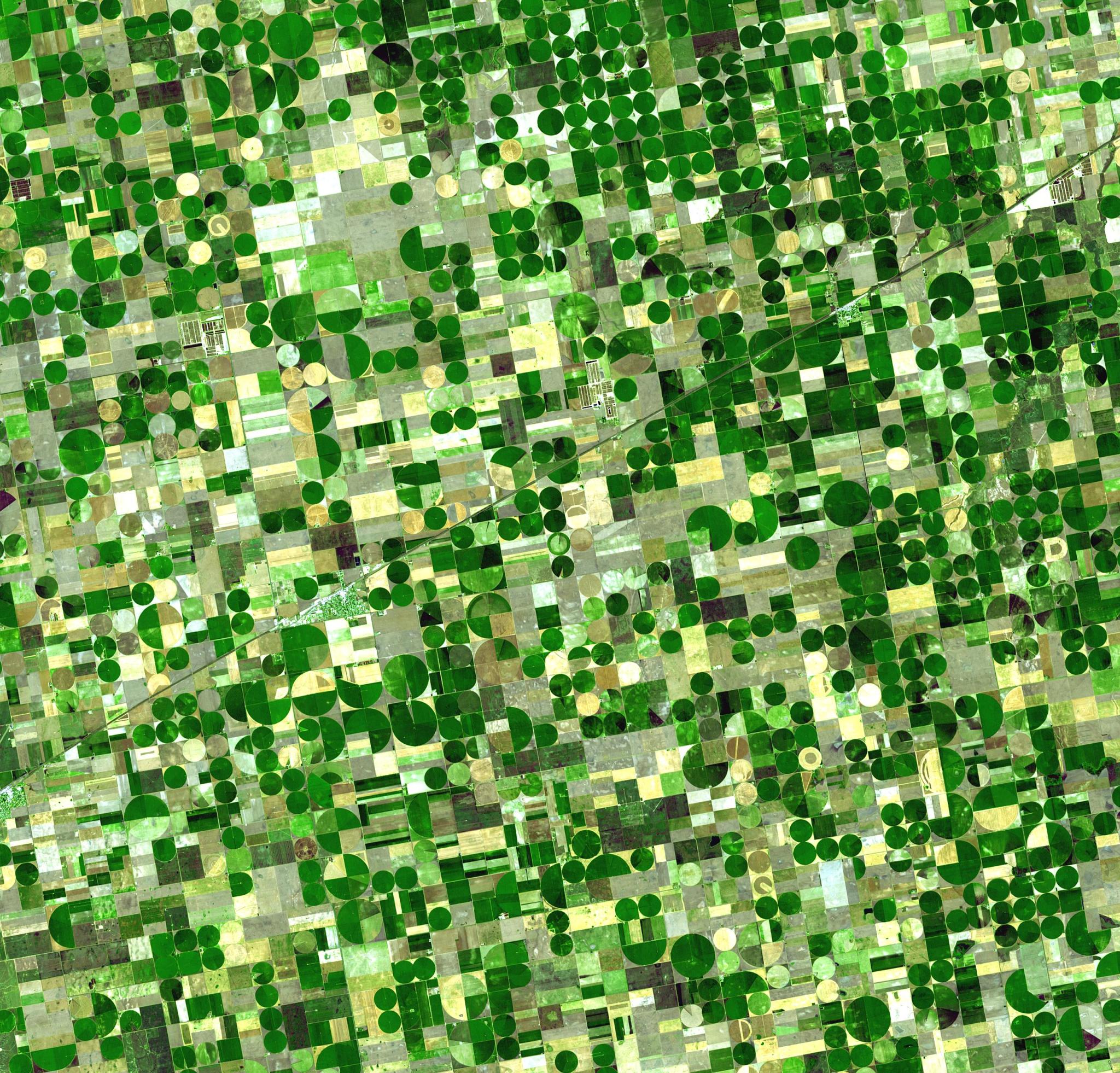 Satellite image of agriculture.
