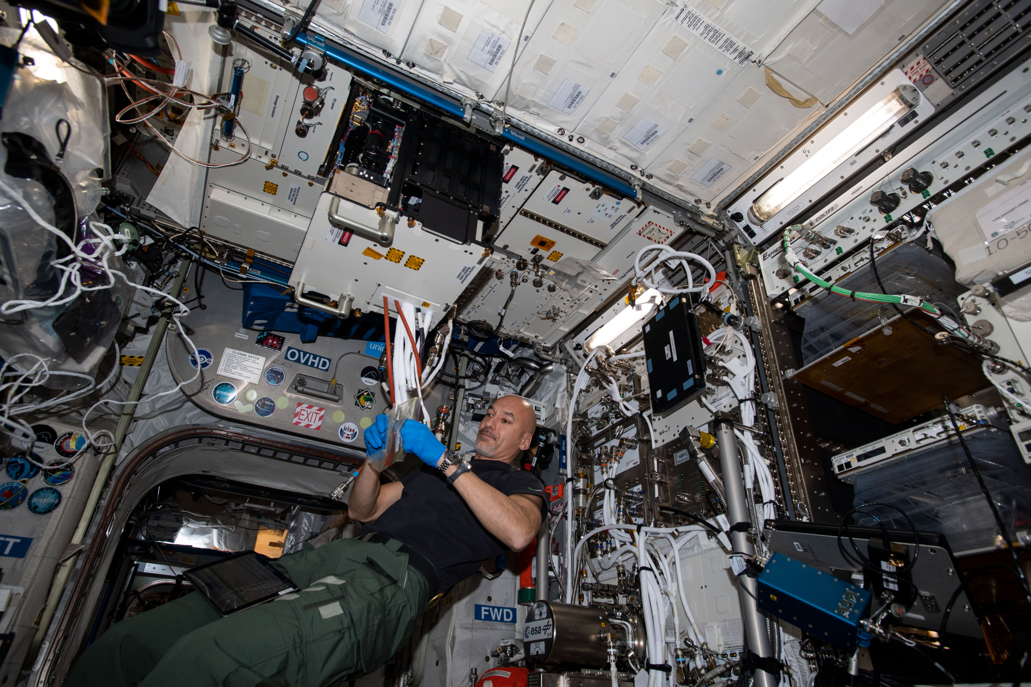 image of an astronaut installing experiment hardware