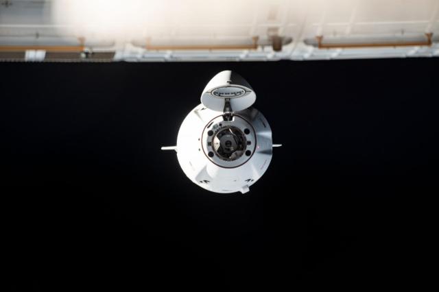 SpaceX Dragon space freightner in space.