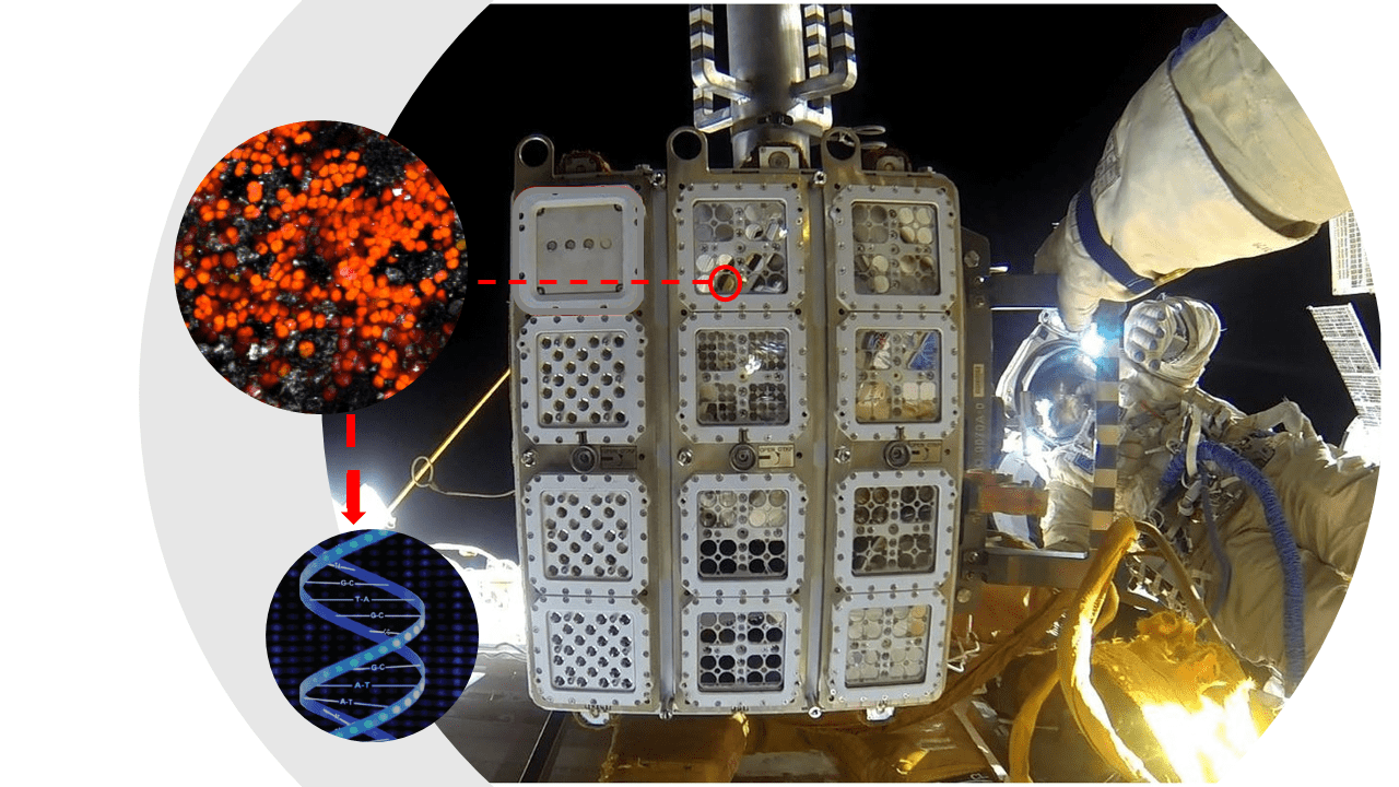 image of experiment hardware in exterior facility of the space station