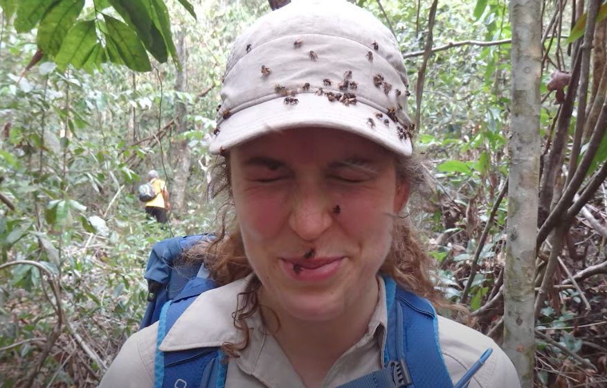 A woman stands in the rainforest, wearing a khaki hat and shirt and a blue backpack. She's squinting as small insects cover her hat and a few crawl on her face. 