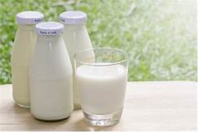 Picture of Milk in bottles and cup