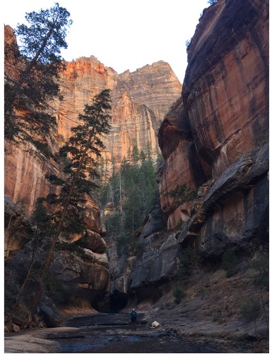 A photo of Zion National Park