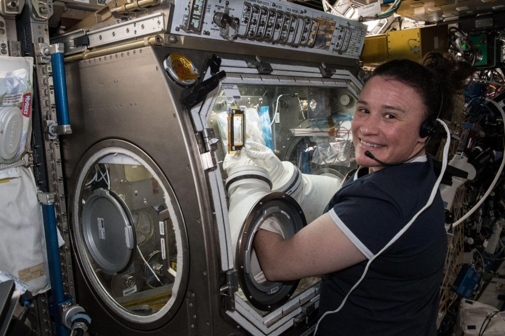 
			NASA Extends International Space Station National Lab Management - NASA			