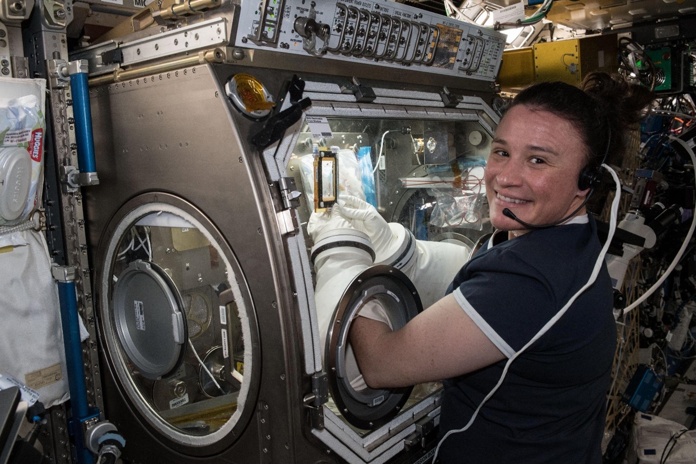 Serena Auñón-Chancellor, Expedition 56 Flight Engineer (FE), during Angiex Cancer Therapy investigation operations in the Microgravity Science Glovebox (MSG) on board the International Space Station (ISS). 