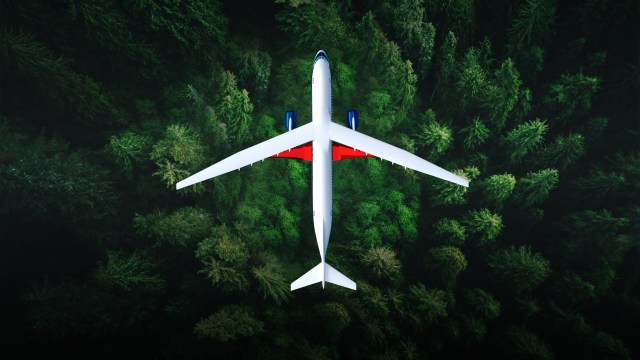 Artist illustration of an aerial view of the Transonic Truss-Braced Wing in flight above a forest of green trees.