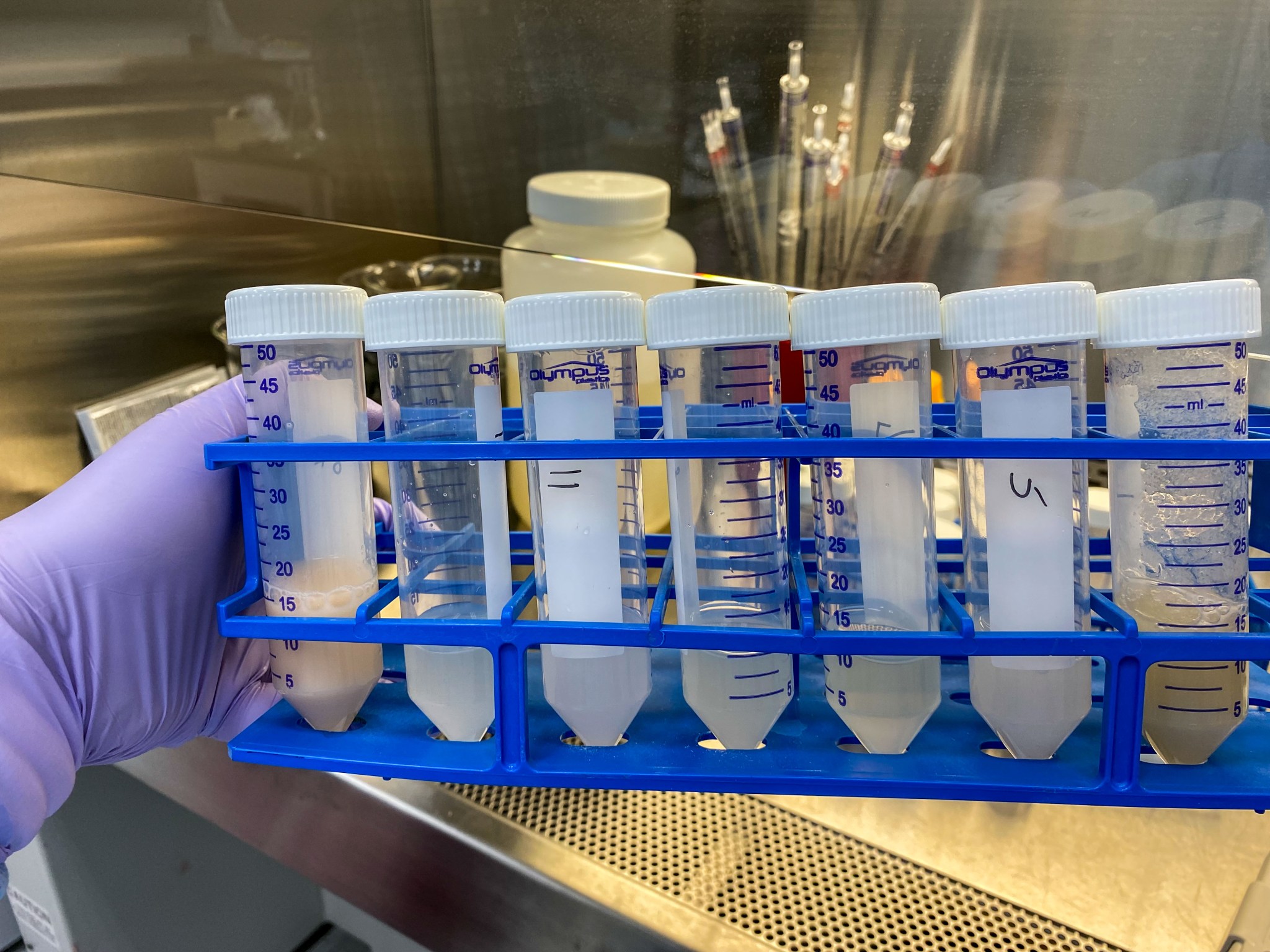 image of experiment soil samples held by a scientist in a lab