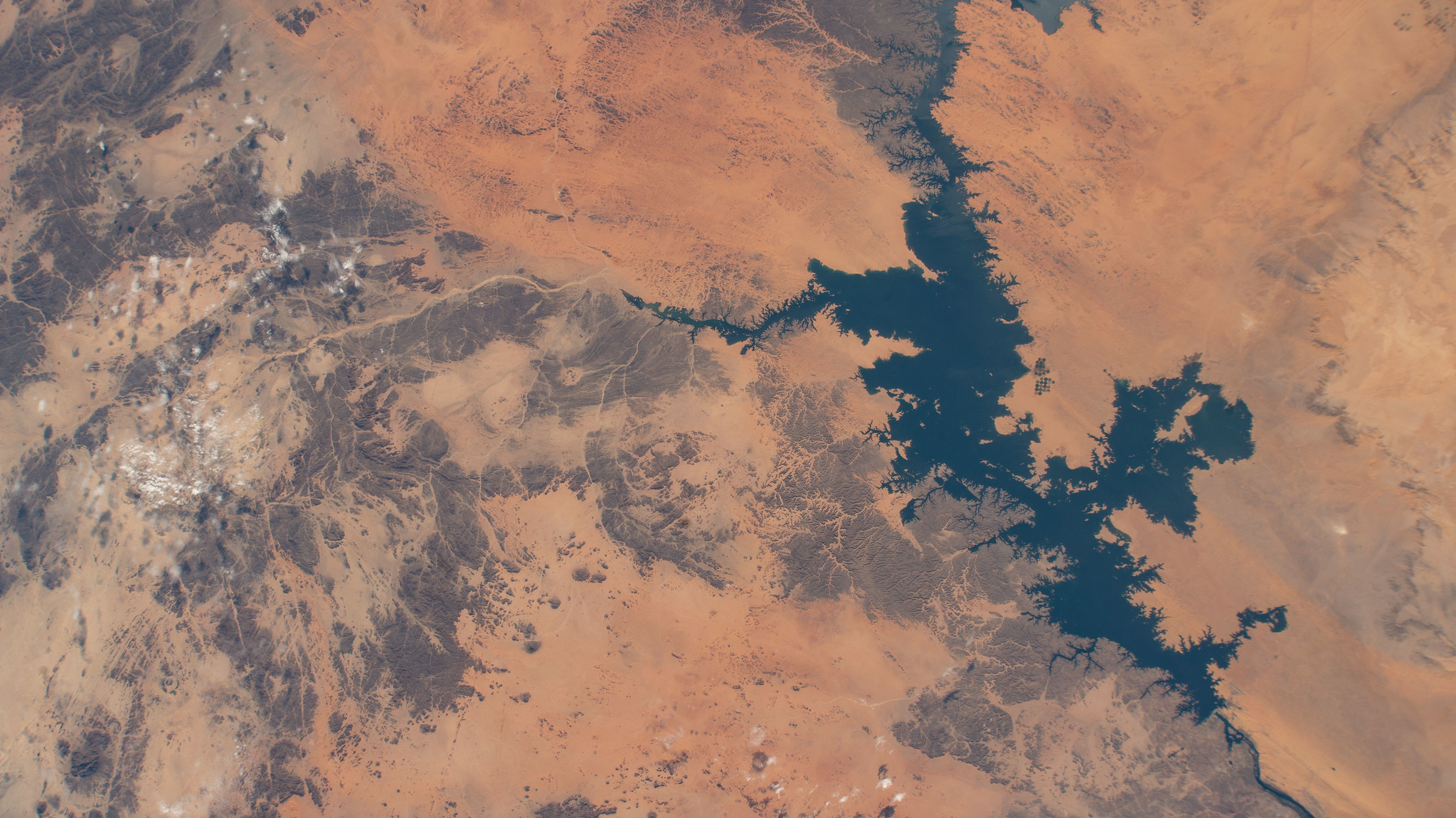 image of Lake Nasser, one of the largest man-made lakes in the world, in southern Egypt as seen from the International Space Station as it orbits 262 miles above.