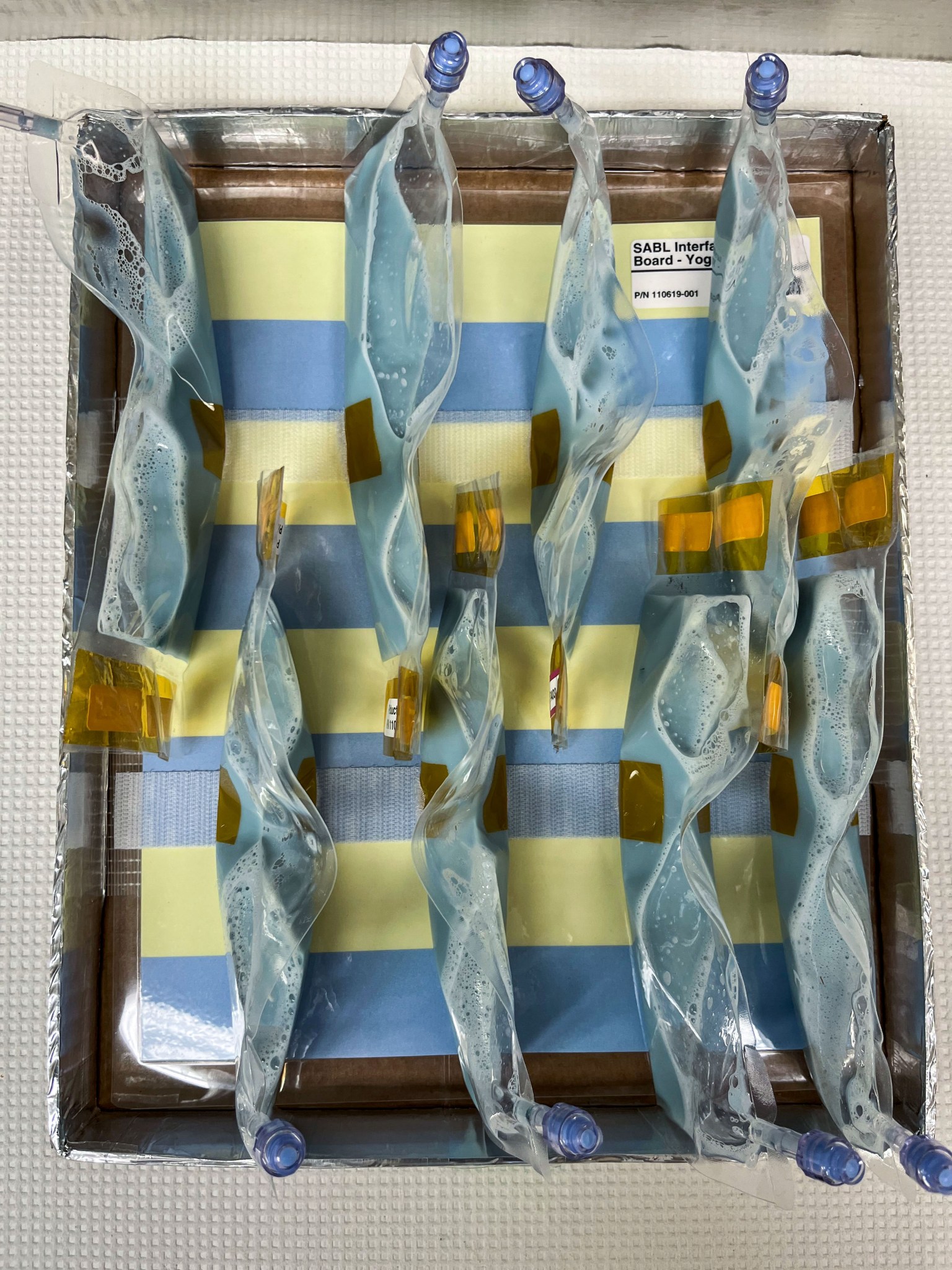 Preflight image of BioNutrients-2 Yogurt Bags. The blue color of their contents comes from the pH Indicator, and the SABL interface board behind the bags provides a reference for the starting and ending colors.