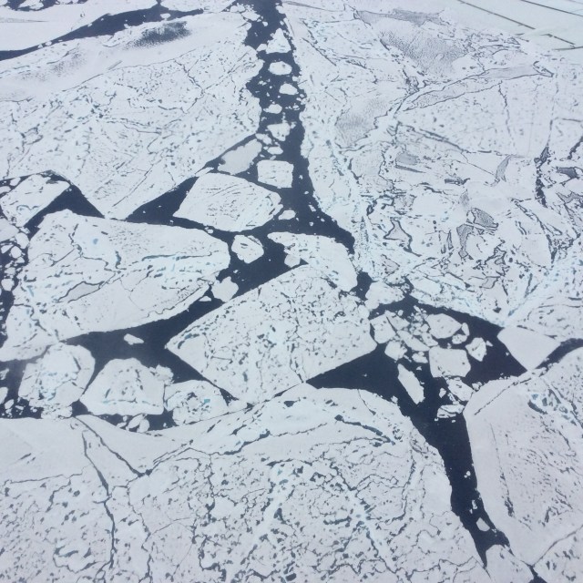 Close-up view of sea ice flows at 79 N from 500 feet from NASA's DC-8 Research aircraft. The dark features on the ice are melt ponds, and the dark areas of between the floes are open water of the Arctic Ocean.