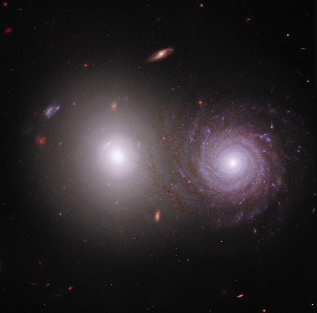 The majority of the image shows the black background of space. Two large, very bright galaxies dominate the center of the image. The elliptical galaxy at left is extremely bright at its circular core, with dimmer white light extending to its transparent circular edges. At right is a bright spiral galaxy. It also has a bright white core, but has red and light purple spiral arms that start at the center and turn clockwise going outward. They end in faint red and appear to overlap the elliptical galaxy at left. Throughout the scene are a range of distant galaxies, the majority of which are very tiny and red, appearing as splotches.