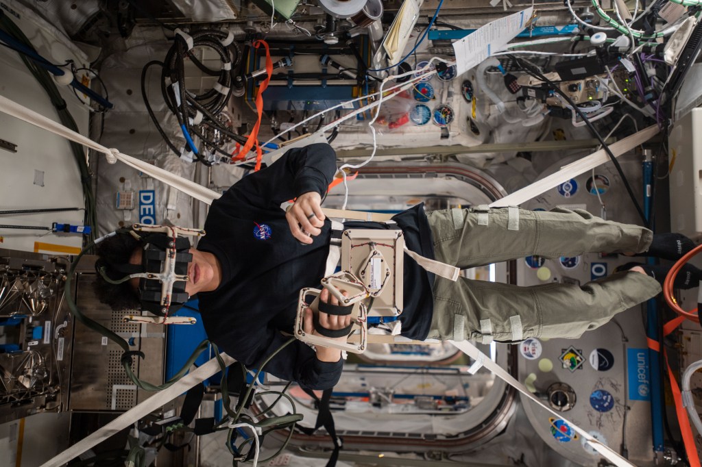 
			A Delicate Balance - NASA			