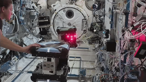 NASA astronaut Nicole Mann sets up operations for SVGS, which demonstrates a vision-based sensor for guidance, navigation, and control of a small spacecraft using the space station’s Astrobee robots. 