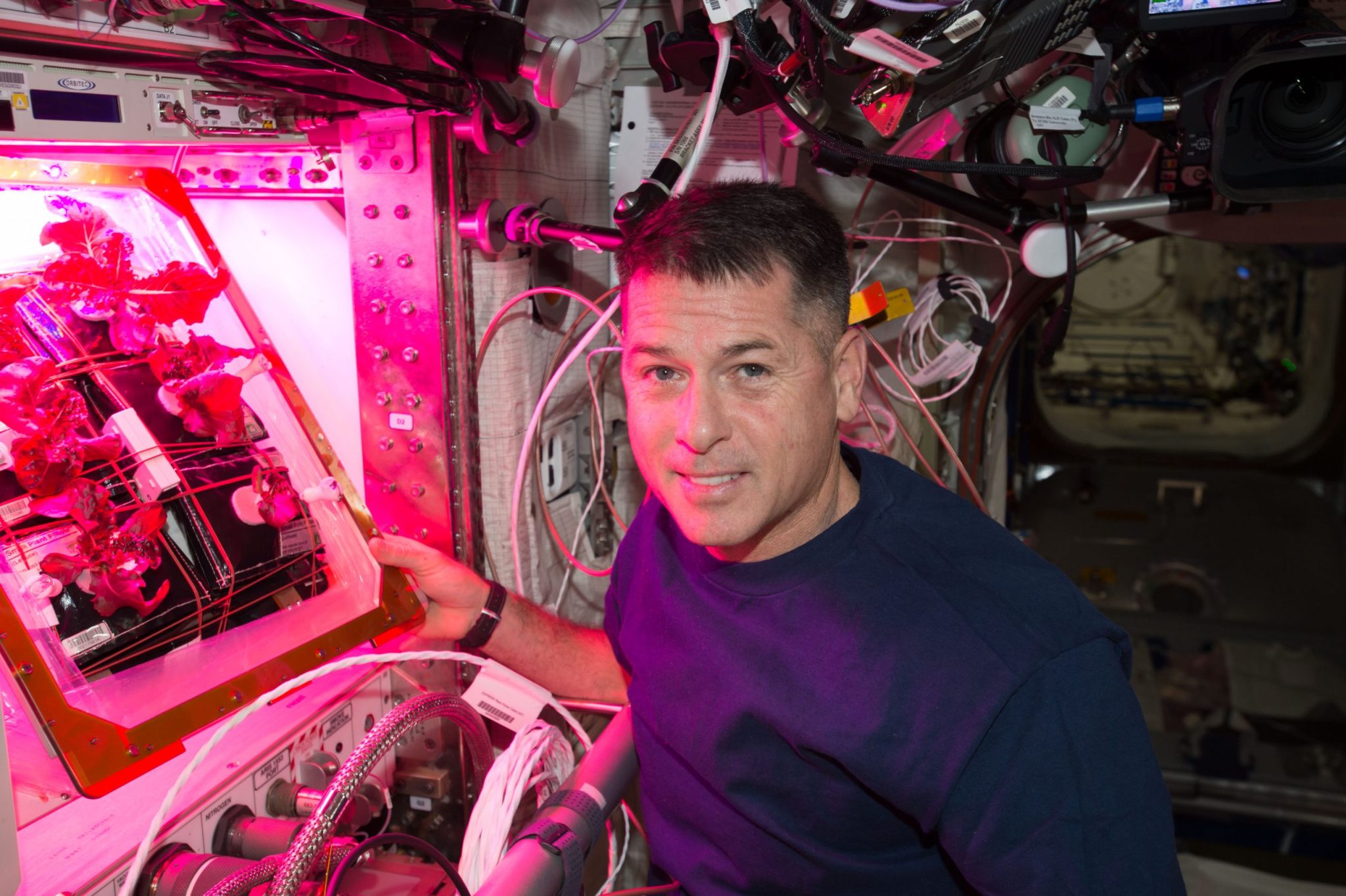 NASA astronaut Shane Kimbrough growing lettuce in Veggie on the International Space Station.