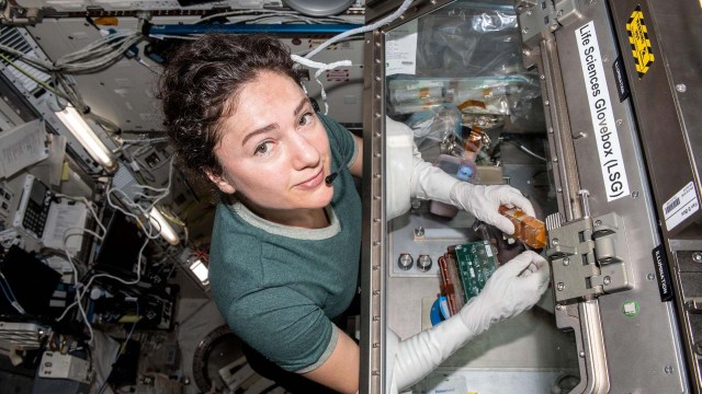 NASA astronaut and Expedition 62 Flight Engineer Jessica Meir conducts cardiac research in the Life Sciences Glovebox located in the Japanese Kibo laboratory module. The Engineered Heart Tissues investigation could promote a better understanding of cardiac function in microgravity which would be useful for drug development and other applications related to heart conditions on Earth.