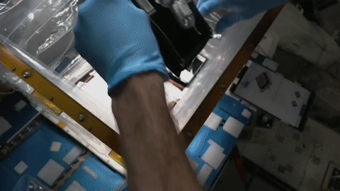 gif video of an astronaut working on a plant experiment