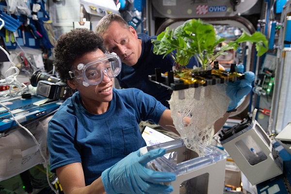 image of two astronauts observing plants from an experiment aboard the space station