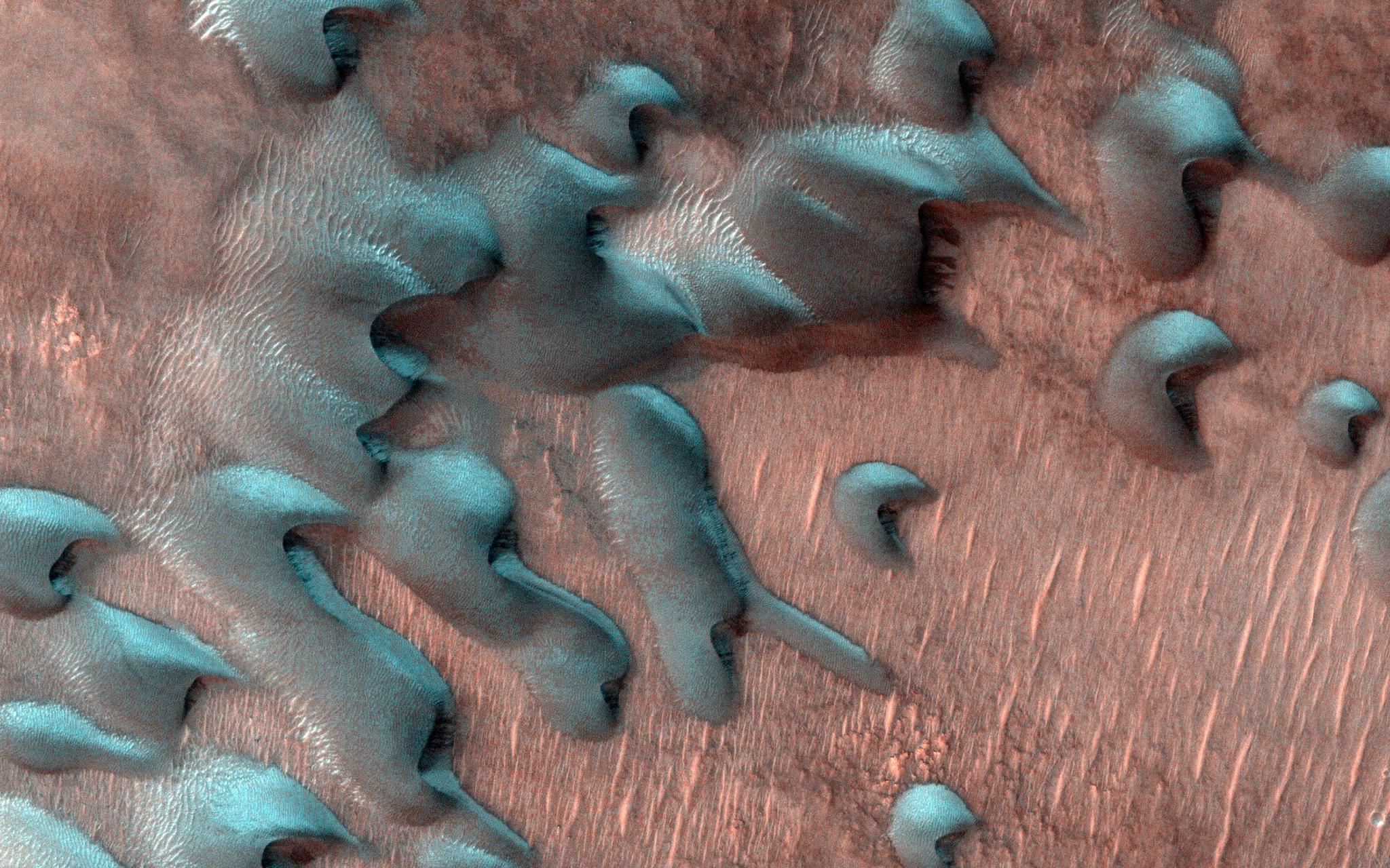 The HiRISE camera aboard NASA’s Mars Reconnaissance Orbiter captured these images of sand dunes covered by frost just after winter solstice. 