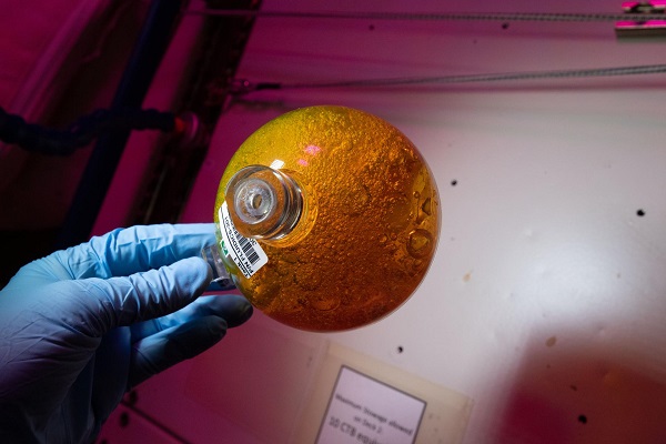 image of an orange sphere full of fluid and bubbles