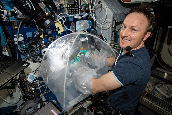 image of an astronaut working on experiment using a science glovebox