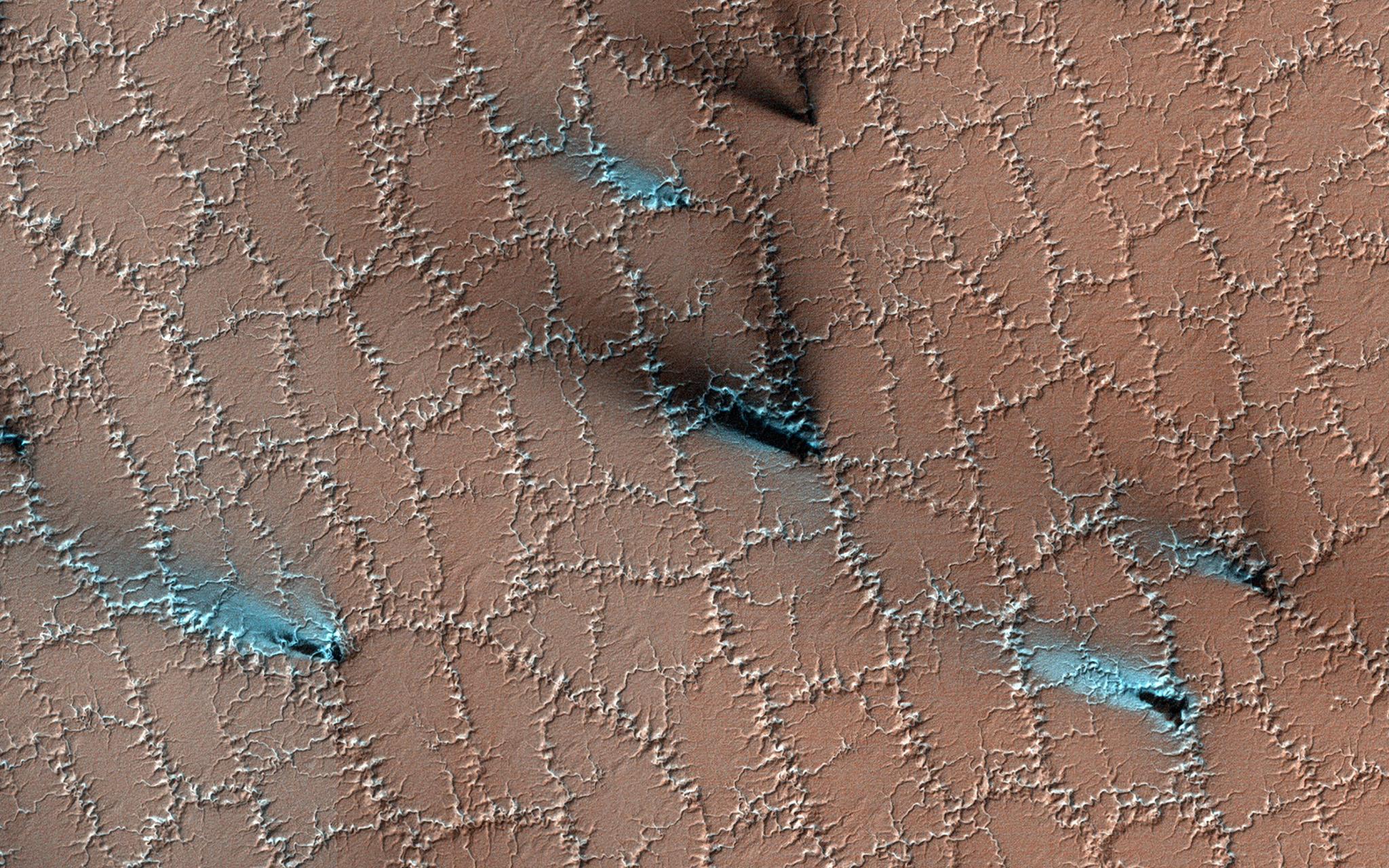 HiRISE captured this spring scene, when water ice frozen in the soil had split the ground into polygons.