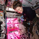 NASA astronaut and Expedition 66 Flight Engineer Kayla Barron works with the Veggie PONDS space agriculture experiment that explores how to grow fresh food during long-term spaceflight missions.