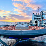 LOFTID recovery on boats deck with sunrise in the background.