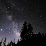 Trees are in the foreground with a night sky full of stars behind it.